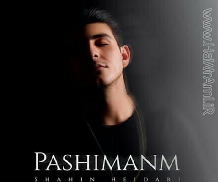 شاهین حیدری پشیمانم